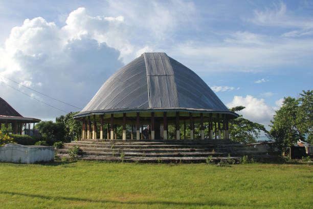 la tele fale (casa grande), la casa más importante, suele tener forma redonda, y sirve como una casa de reuniones para reuniones de consejo principal, reuniones familiares, funerales o inversiones de títulos principales. - oval shape fotos fotografías e imágenes de stock