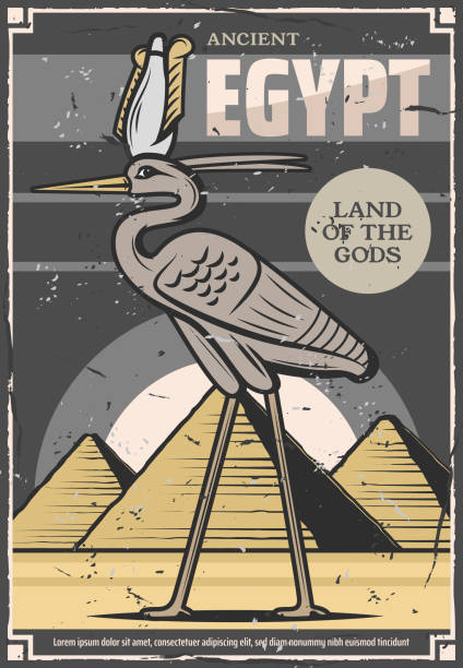 ilustraciones, imágenes clip art, dibujos animados e iconos de stock de recorridos de viaje por la cultura antigua de egipto - traditional culture heron bird animal