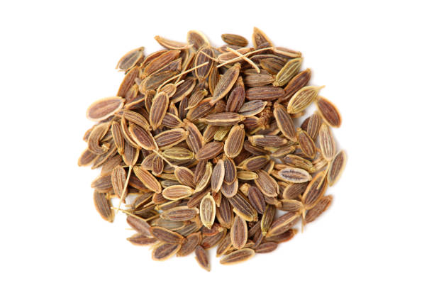 istock Pile of dill seeds 1174758505