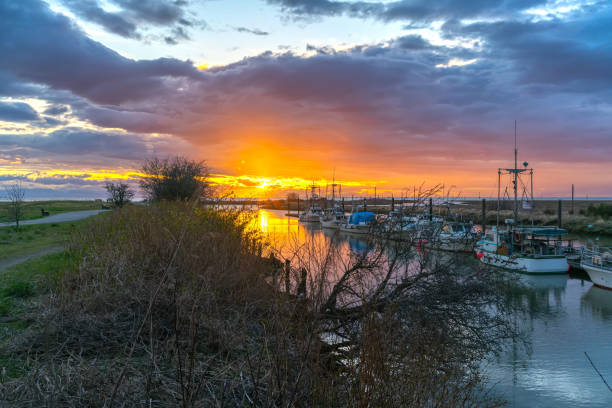 istock Seaside park under the sunset in Richmond BC Canada 1174758606