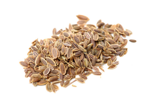 istock Pile of dill seeds 1174758679