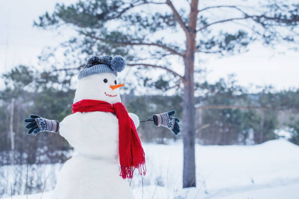 istock snowman in red scarf in forest 1174759891
