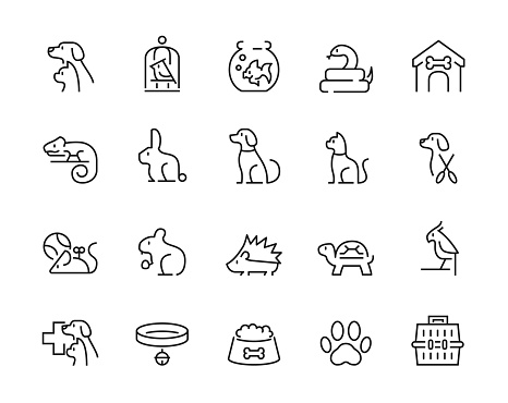 20 pet related icons design