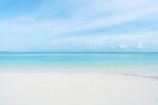 istock Tropical beach and seascape 1174763331