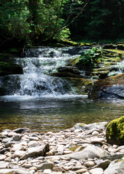 istock small mountain waterfall with clear water which flowing in the pond 1174768527