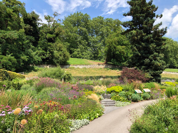 istock Landscape of the Herbaceous Garden or Staudengarten (Island Mainau on the Lake Constance) 1174770029