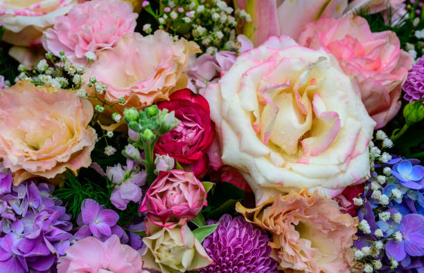 Colourful flower in closeup. stock photo