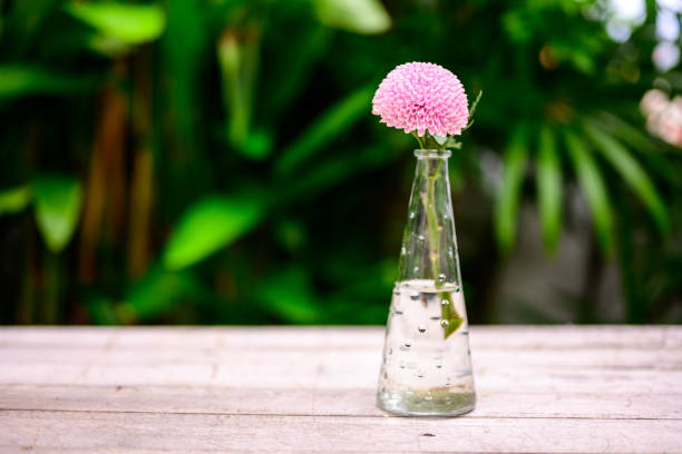 Pink chrysanthemum in glass vase on wooden table.