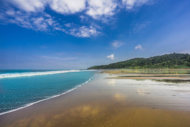 Tropical beach Almejal at the Pacific Ocean coast in Choco region by El Valle next to Bahia Solano in Colombia stock photo