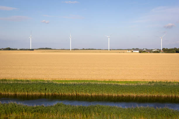 um exemplo de energia renovável produzida com turbinas eólicas em um campo de grãos - alternative engery - fotografias e filmes do acervo