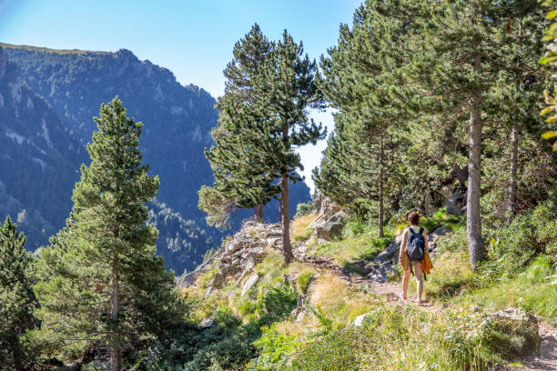 istock Girl trail hiking in Pyrenees, Spain. 1174776295