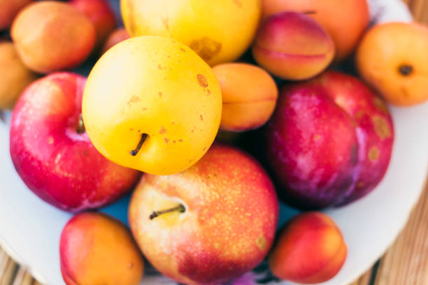 ciruelas frescas de frutas enteras, melocotones, fondo de albaricoques, vista superior - plum yellow eating beauty and health fotografías e imágenes de stock