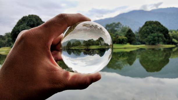 istock Taiping Lake Garden in Perak, Malaysia 1174778802