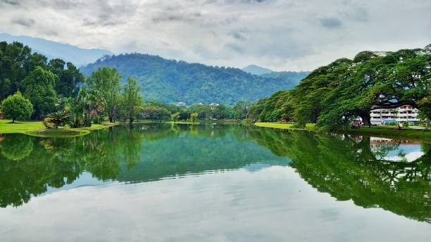 istock Taiping Lake Garden in Perak, Malaysia 1174778890