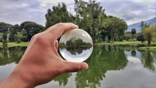 istock Taiping Lake Garden in Perak, Malaysia 1174779073