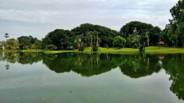 istock Taiping Lake Garden in Perak, Malaysia 1174779134