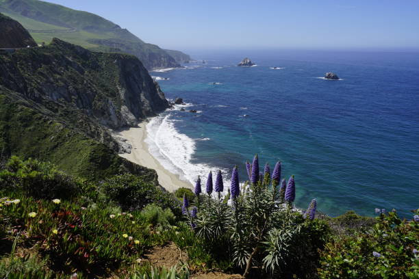 istock Beautiful coastline scenery with ocean waves and rocks on Pacific Coast 1174780266