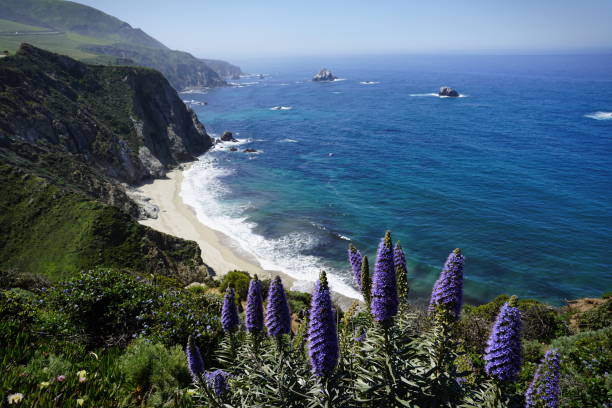 istock Beautiful coastline scenery with ocean waves and rocks on Pacific Coast 1174780332