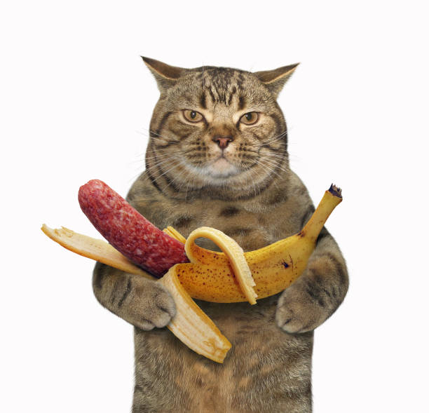 istock Cat holds sausage in banana peel 1174780619