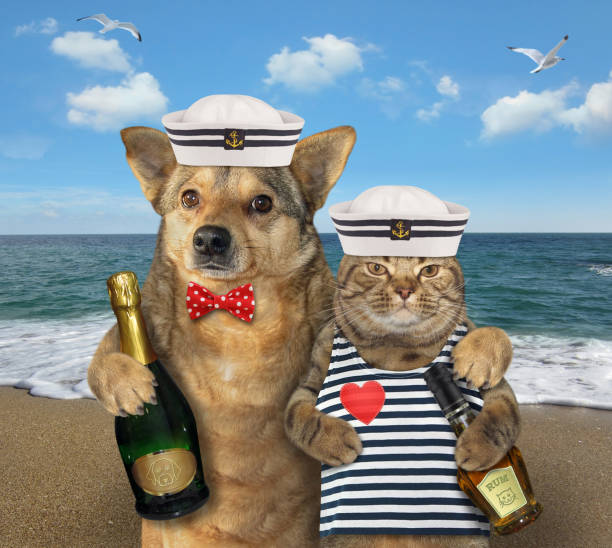 istock Dog hugging cat mariner 2 1174780642
