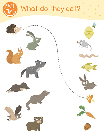 What Do They Eat Matching Activity For Children With Animals And Food They  Eat Funny Woodland Game For Kids Logical Quiz Worksheet Stock Illustration  - Download Image Now - iStock