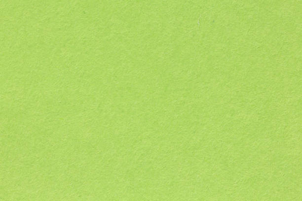 istock Macro shot of green texture. High quality background in extremely high resolution. 1174781952