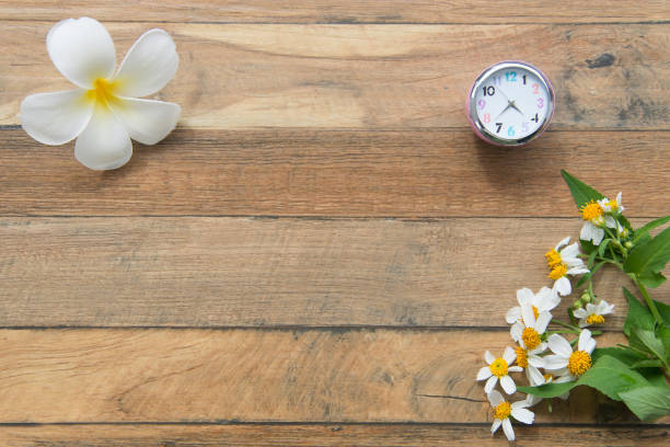 Small table clock with Frangipani flower on wooden table top view.Wooden background with table clock and flowers.