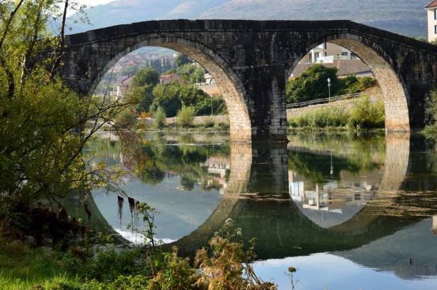istock reflection of a stone bridge in a river 1174783484