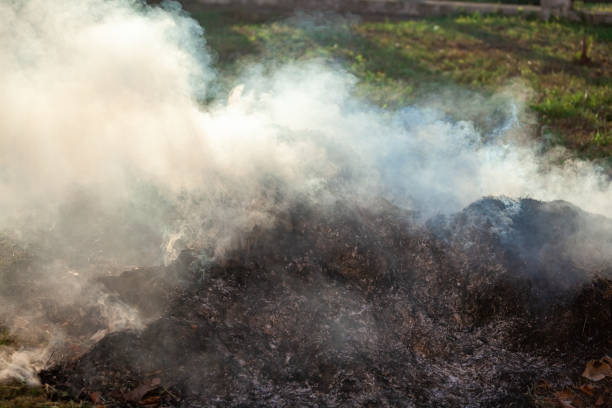 istock Burning grass and leaves, fire while cleaning the garden. Voluminous smoke 1174785253