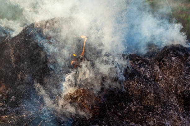 istock Burning grass and leaves, fire while cleaning the garden. Voluminous smoke 1174785255