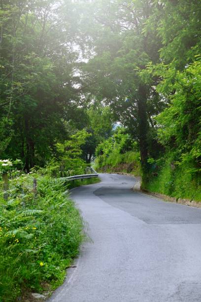 istock road to the mountain with green trees 1174787106