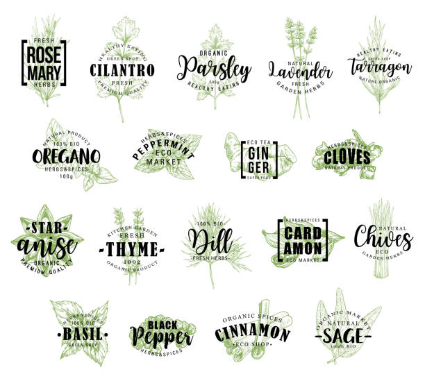 kräuter- und gewürzsymbole mit schriftzug, vektor - herb tarragon thyme parsley stock-grafiken, -clipart, -cartoons und -symbole