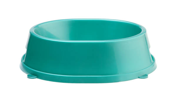 istock Bowl for animals isolated on a white 1174789740