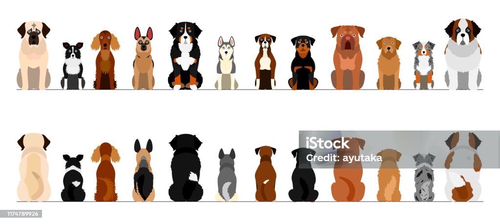 large dogs border border set, full length, front and back Dog stock vector