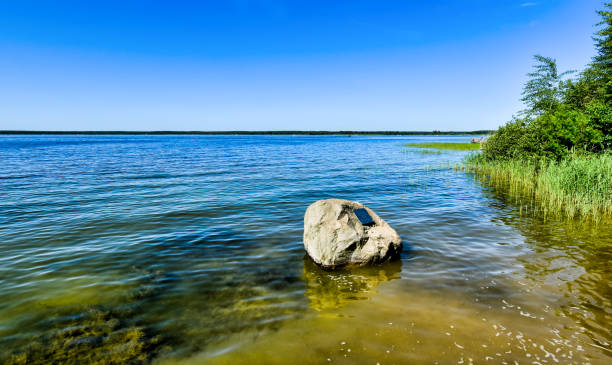 Shore of Lake Fleesensee in Germany Shore of Lake Fleesensee, part of the Mecklenburg Lake District in the Federal State of Mecklenburg-Western Pomerania in Germany mecklenburg lake district photos stock pictures, royalty-free photos & images