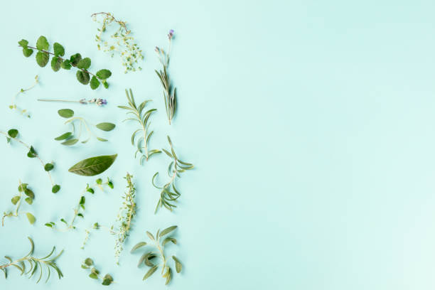 istock Culinary aromatic herbs, shot from the top on a teal blue background with copy space 1174790716