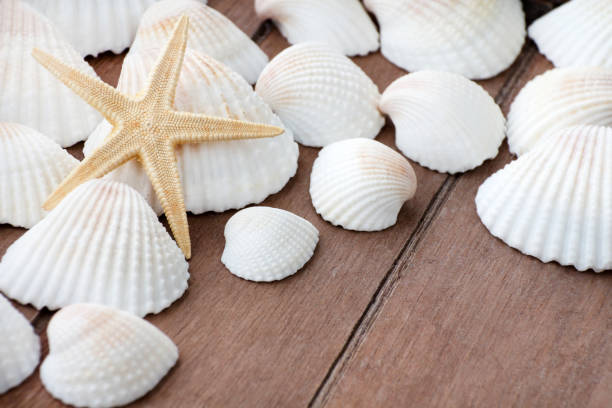 istock Summer beach decoration against wooden background 1174790753