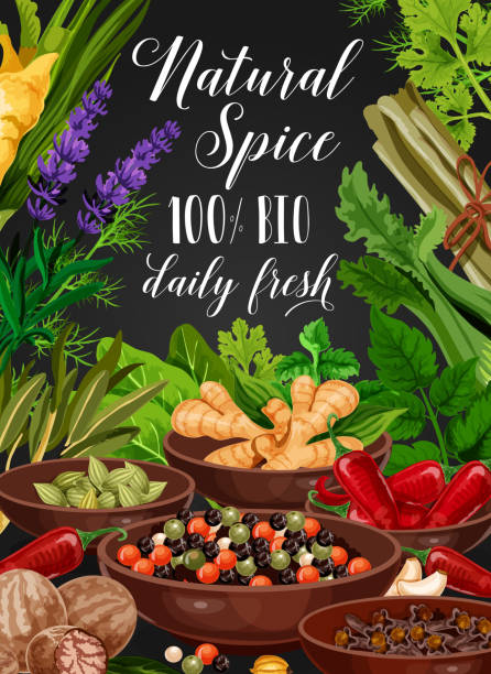 przyprawy i zioła, przyprawy do gotowania i przyprawy - herb cooking garlic mint stock illustrations