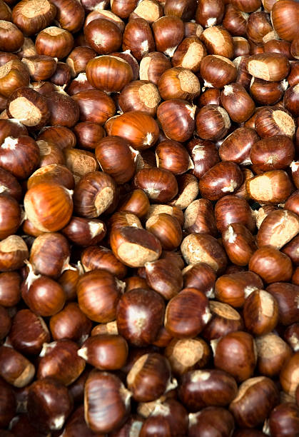 Chestnuts stock photo