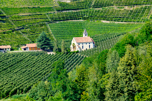 scenic small church in Merano in the apple fields in Tyrol