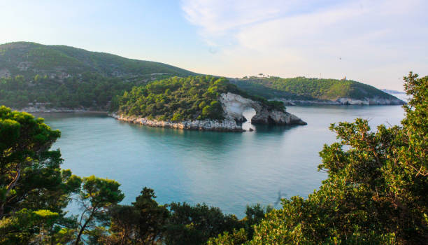 istock Gargano park in Puglia, Italy 1174793050