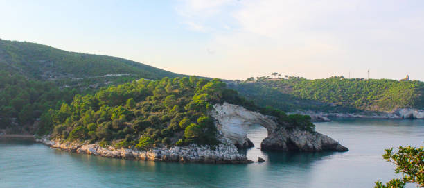 istock Gargano park in Puglia, Italy 1174793051