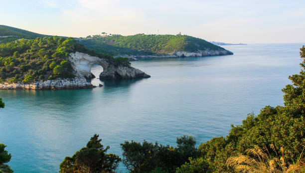 istock Gargano park in Puglia, Italy 1174793057