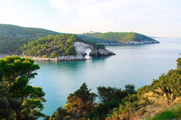 istock Gargano park in Puglia, Italy 1174793058