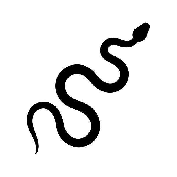 ilustraciones, im�ágenes clip art, dibujos animados e iconos de stock de silueta de serpiente. icono vectorial negro - snake