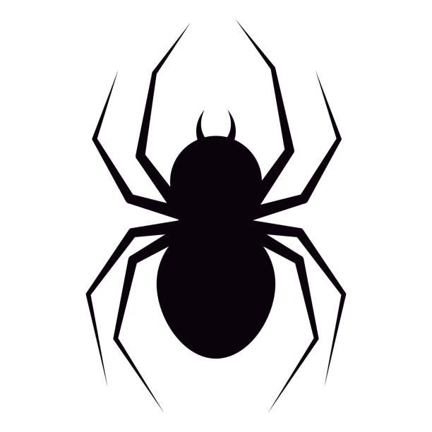 istock Vector illustration of flat design black spider with fangs silhouette icon isolated on white background. 1174793995