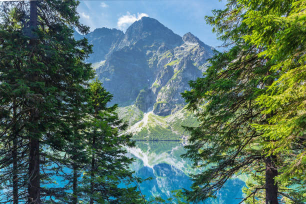 istock Sea Eye. Lake in Tatra Mountains 1174794015