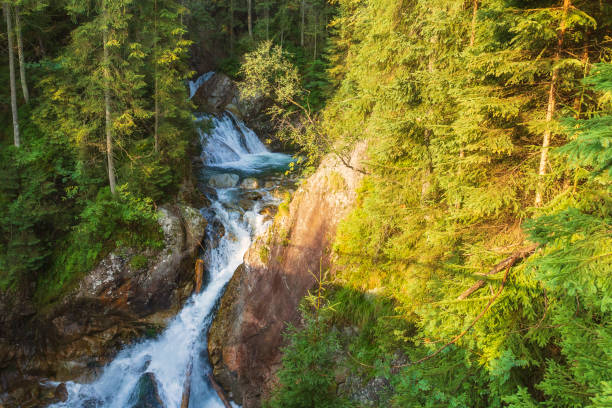 istock Waterfall high in the mountains 1174795442