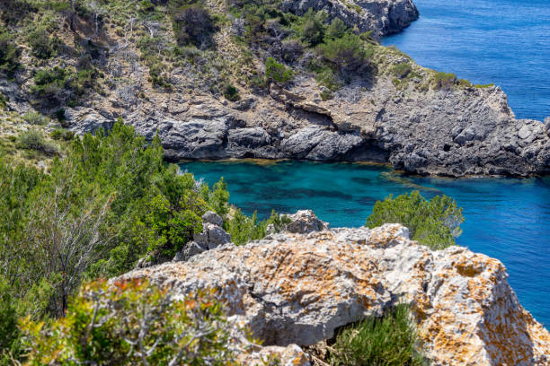 istock Peninsula La Victoria in Majorca 1174795858