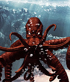 riesen-oktopus-unter-wasser.jpg?b=1&s=170x170&k=20&c=97_gOmsNASAzlZPCll_51ZHOM1GH8hfP0c-A-e2l3H8=
